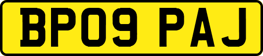 BP09PAJ