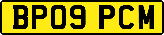 BP09PCM