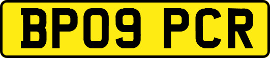 BP09PCR