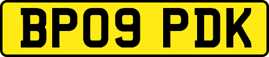 BP09PDK