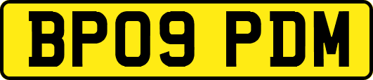 BP09PDM