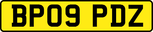 BP09PDZ