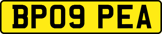BP09PEA