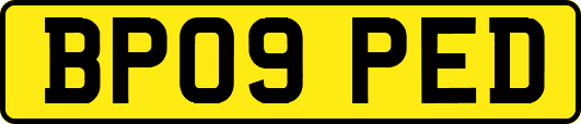 BP09PED
