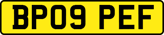BP09PEF