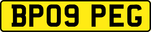 BP09PEG