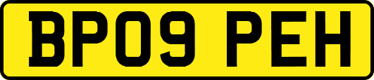 BP09PEH