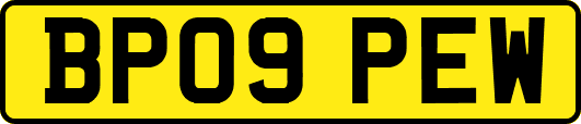 BP09PEW