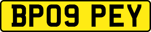 BP09PEY