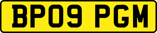 BP09PGM