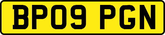 BP09PGN