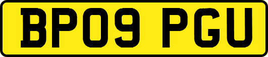 BP09PGU