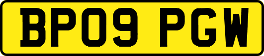 BP09PGW