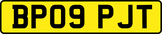 BP09PJT