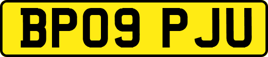 BP09PJU