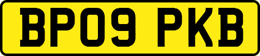 BP09PKB