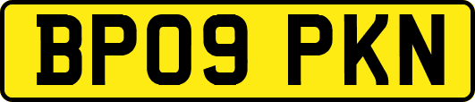 BP09PKN