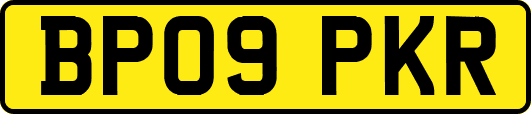 BP09PKR