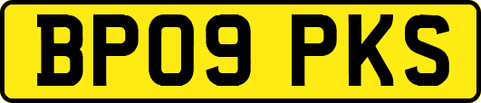 BP09PKS