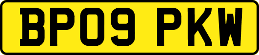 BP09PKW