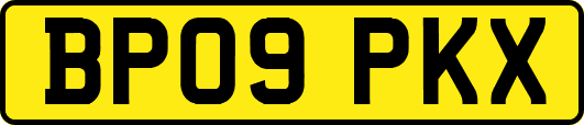 BP09PKX