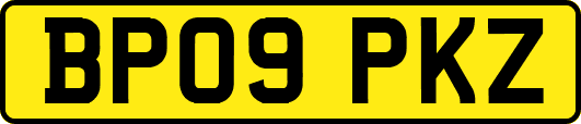 BP09PKZ
