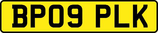 BP09PLK