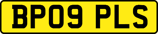 BP09PLS