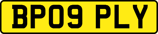 BP09PLY