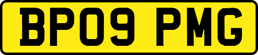 BP09PMG