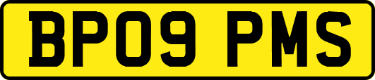 BP09PMS