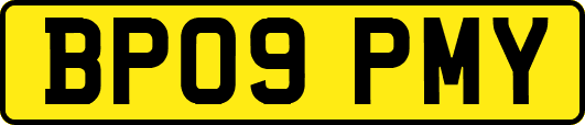 BP09PMY
