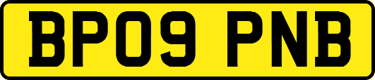 BP09PNB