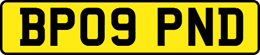 BP09PND
