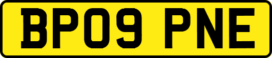 BP09PNE
