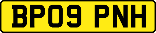 BP09PNH