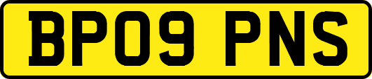 BP09PNS