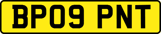 BP09PNT