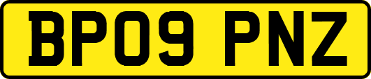 BP09PNZ