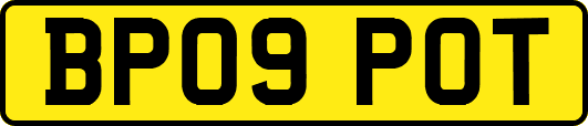 BP09POT