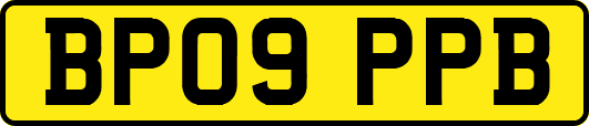 BP09PPB