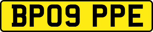 BP09PPE
