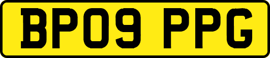 BP09PPG