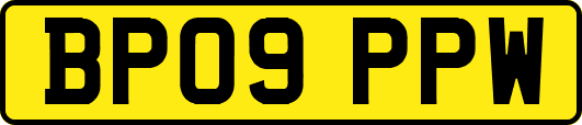 BP09PPW
