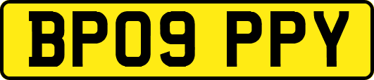 BP09PPY