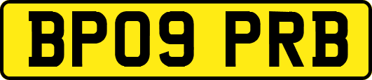 BP09PRB
