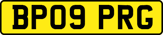 BP09PRG