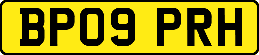 BP09PRH