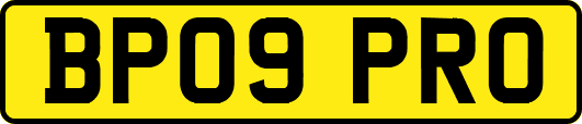 BP09PRO
