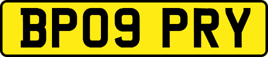 BP09PRY